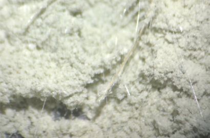 アスベスト(石綿)