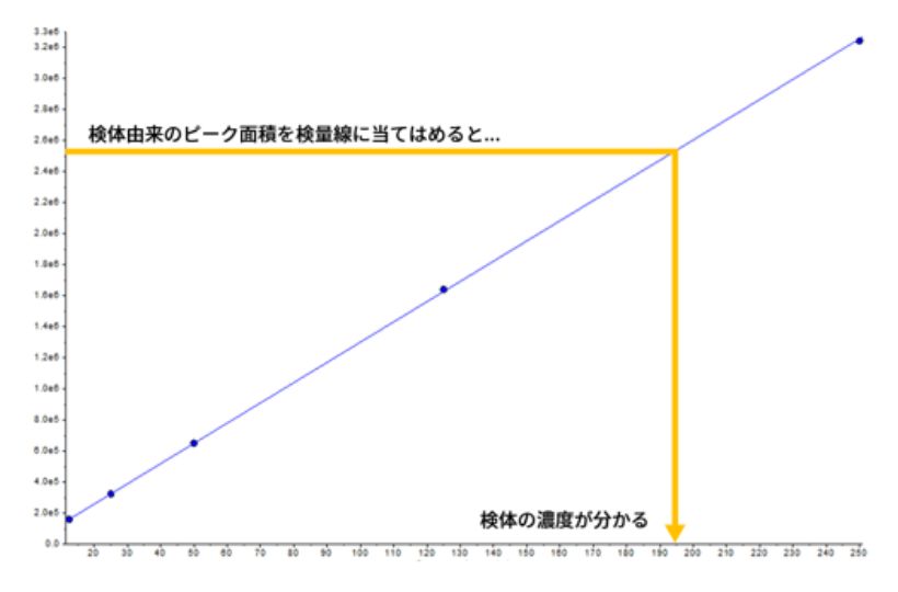 検体を測定して分析値を決定