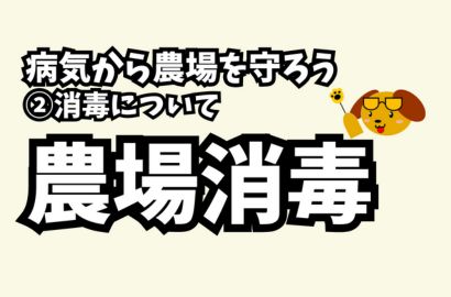 農場消毒の動画