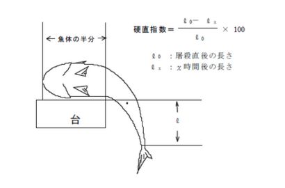硬直指数｜6月の旬食材シリーズ②