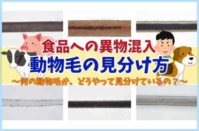 動物の毛について