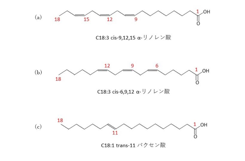 図2　α-リノレン酸及びγ-リノレン酸、バクセン酸の構造例(cis/trans表記)