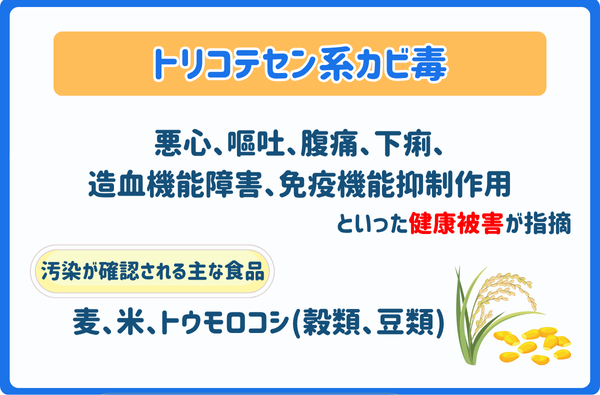 トリコテセン系カビ毒