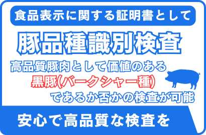豚品種識別検査