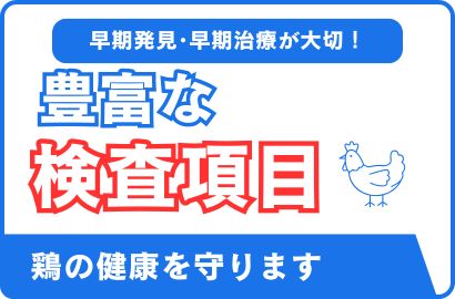 鶏　抗体検査