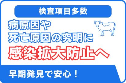 牛病性鑑定・微生物検査