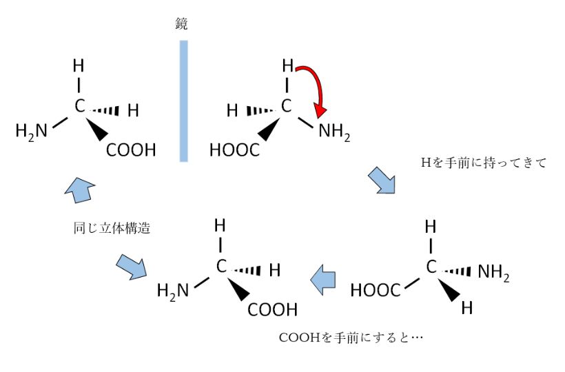 グリシンの立体構造