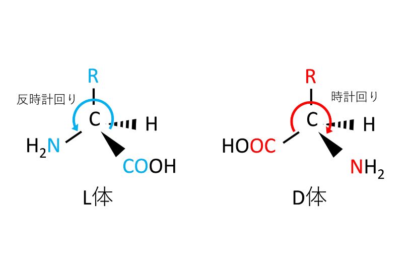 CORNルールに基づくL体及びD体の区別