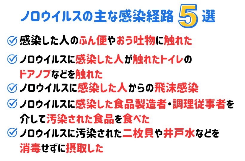 ノロウイルスの感染経路5選