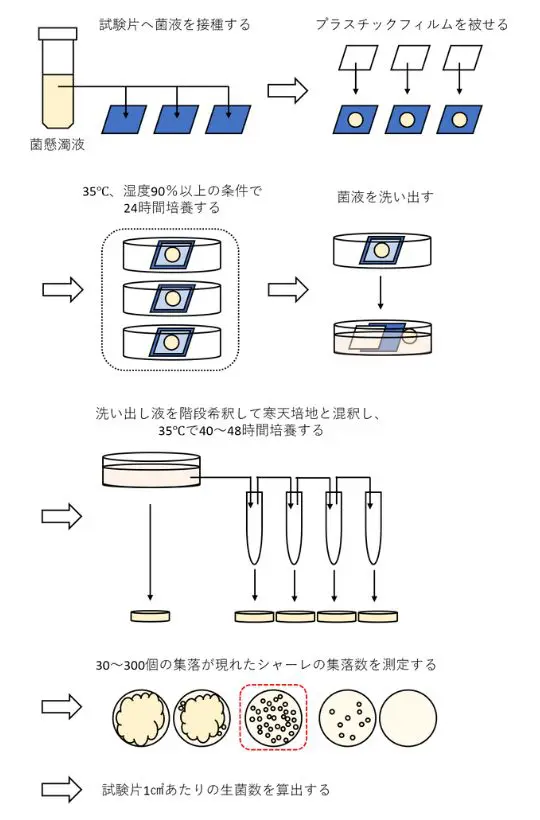 【ABL/カテ検査】 ISO/IEC 17025：2017とは？抗菌試験（JIS Z 2801準拠）とは | 食環境