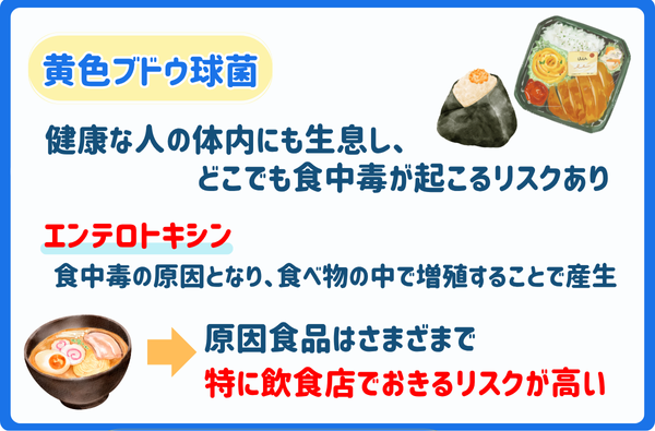 黄色ブドウ球菌