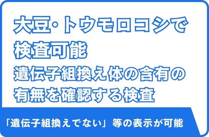 遺伝子組換え作物 (GMO) 検査