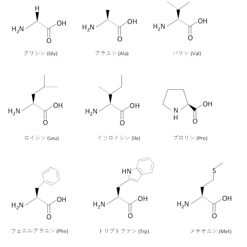 疎水性アミノ酸の構造