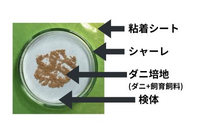 ダニ増殖抑制試験A法