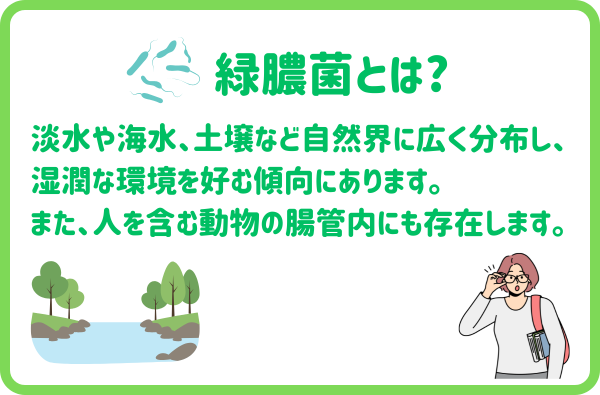 緑膿菌とは？