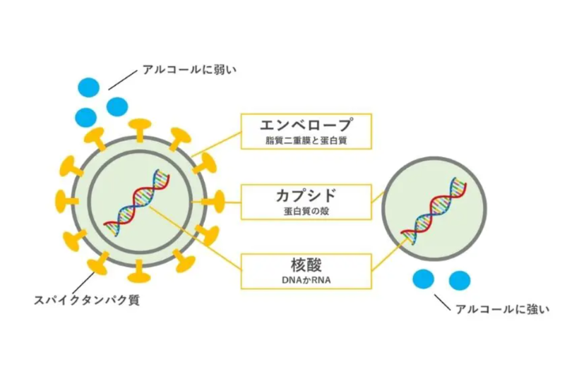 手足口病の予防