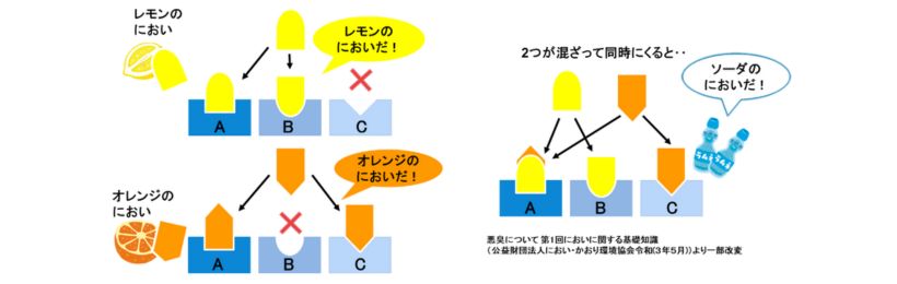 レモンとオレンジのにおいが混在した場合のにおい識別例