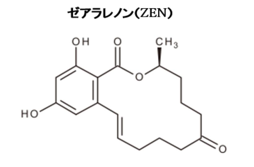 ゼアラレノン(ZEN)