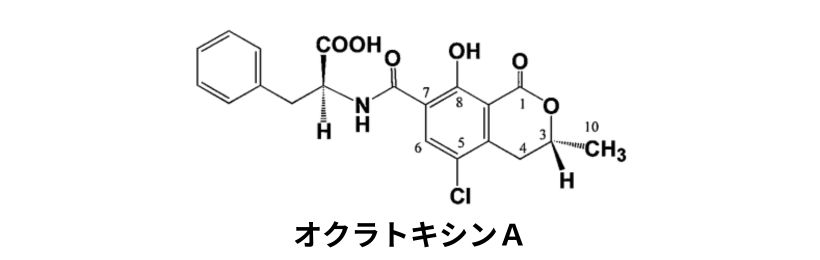 オクラトキシンＡ