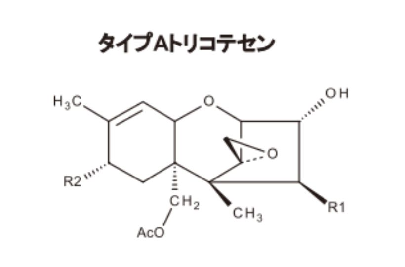 タイプAトリコテセン
