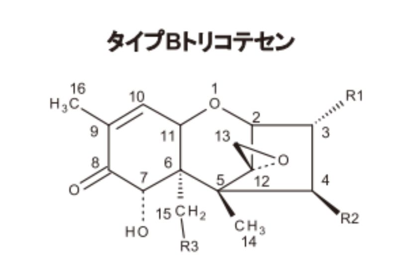 タイプBトリコテセン