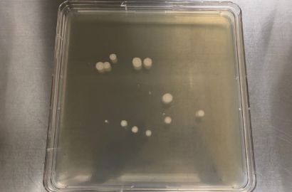 内勤女性1日着用17時間後外側