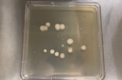 内勤女性1日着用24時間後外側