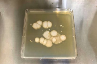 内勤女性1日着用40時間後外側