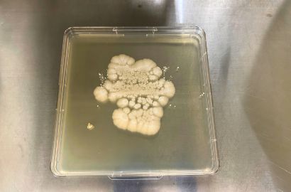 内勤女性1日着用40時間後内側