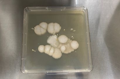 内勤女性1日着用48時間後外側