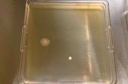 内勤女性2日着用17時間外側