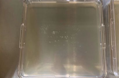 内勤女性2日着用17時間内側