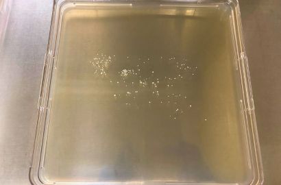 内勤女性2日着用24時間内側