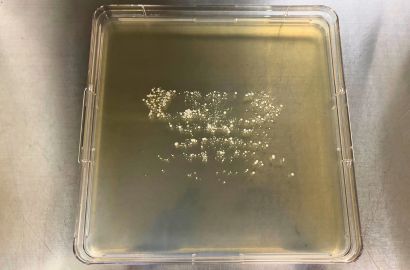 内勤女性2日着用40時間内側