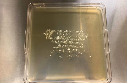 内勤女性2日着用48時間内側