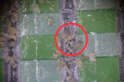 ヤケヒョウヒダニ