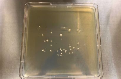 外勤男性1日着用17時間後外側
