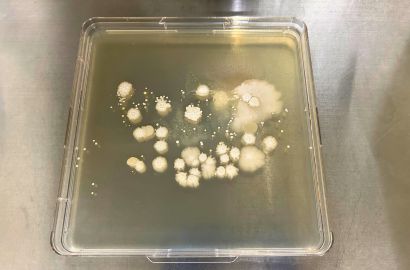 外勤男性1日着用40時間後外側