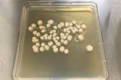 外勤男性1日着用40時間後内側