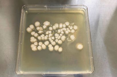 外勤男性1日着用48時間後外側