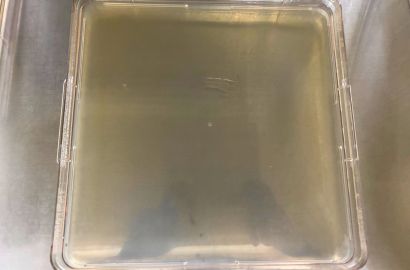 外勤男性2日着用培養スタート外側