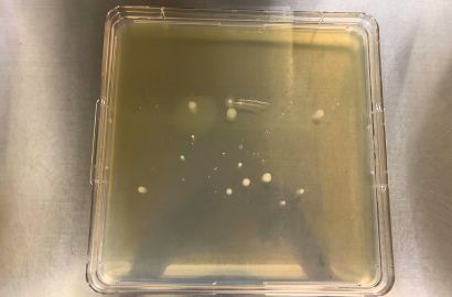 外勤男性2日着用17時間外側