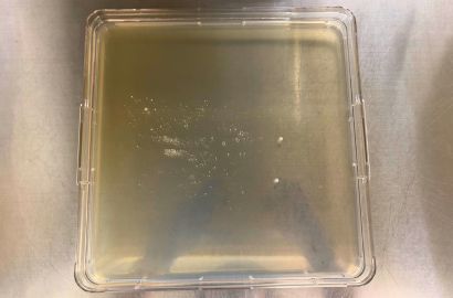 外勤男性2日着用17時間内側