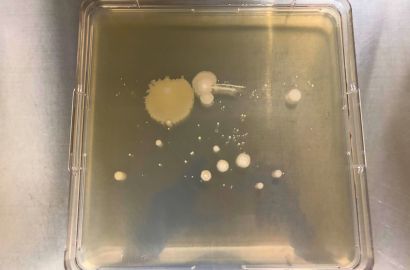 外勤男性2日着用24時間外側