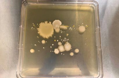 外勤男性2日着用40時間外側