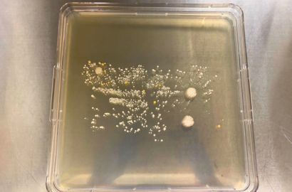 外勤男性2日着用40時間内側