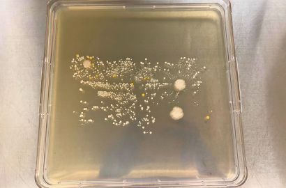 外勤男性2日着用48時間内側