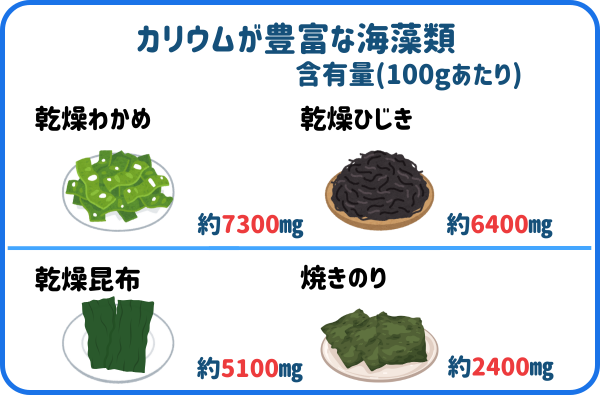 カリウム海藻