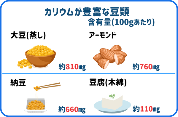 カリウム豆