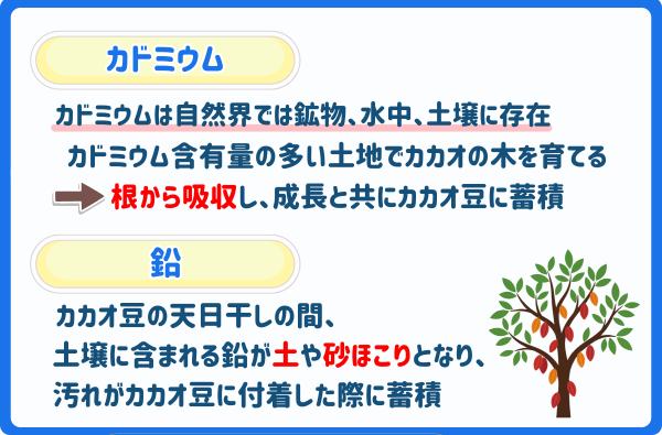 チョコレート.カドミウム.鉛